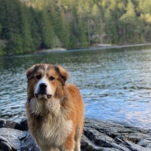 Meet your Posher, Joanne